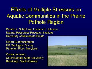 Effects of Multiple Stressors on Aquatic Communities in the Prairie Pothole Region