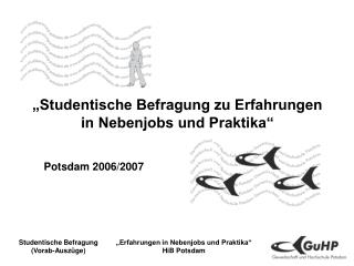 „Studentische Befragung zu Erfahrungen in Nebenjobs und Praktika“