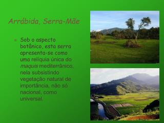 Arrábida, Serra-Mãe