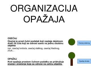 ORGANIZACIJA OPAŽAJA