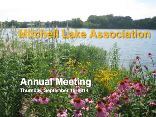 Mitchell Lake Association