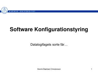 Software Konfigurationstyring