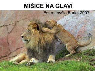 MIŠICE NA GLAVI