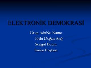 ELEKTRONİK DEMOKRASİ