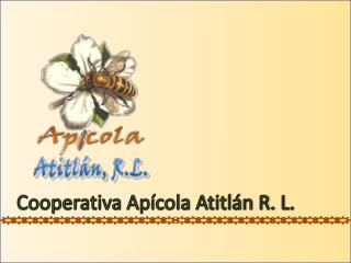 Cooperativa Apícola Atitlán R. L.