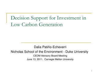 Decision Support for Investment in Low Carbon Generation