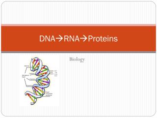 DNA RNAProteins