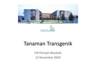 Tanaman Transgenik