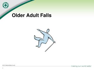 Older Adult Falls