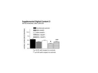 MITOCHONDRIAL DNA CONTENT