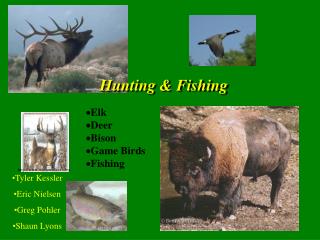 Hunting &amp; Fishing