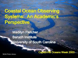 Coastal Ocean Observing Systems: An Academic’s Perspective