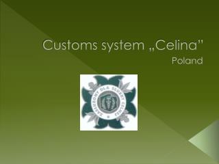 Customs system „Celina”