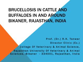 Brucellosis in Cattle and Buffaloes in and around Bikaner, Rajasthan, India