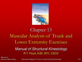 Chapter 13 Muscular Analysis of Trunk and Lower Extremity Exercises