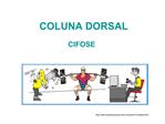 COLUNA DORSAL