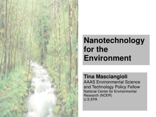 Nanotechnology for the Environment