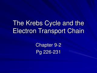 The Krebs Cycle and the Electron Transport Chain