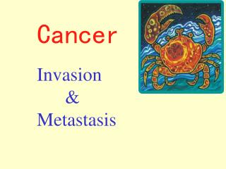 Cancer