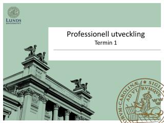 Professionell utveckling Termin 1