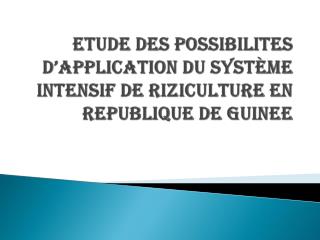 ETUDE DES POSSIBILITES D’APPLICATION DU SYSTÈME INTENSIF DE RIZICULTURE EN REPUBLIQUE DE GUINEE