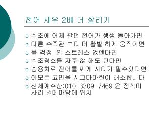 전어 새우 2 배 더 살리기