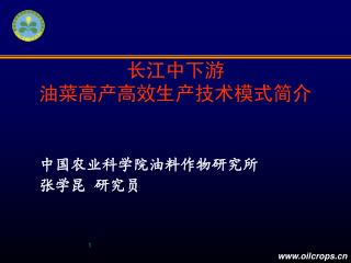 长江中下游 油菜高产高效生产技术模式简介