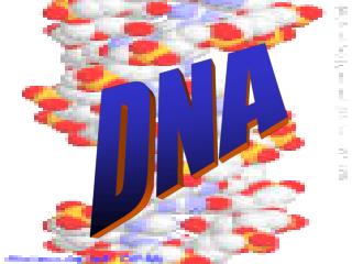 DNA