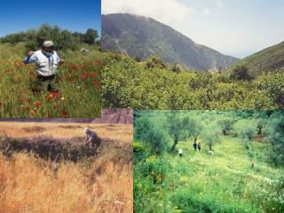 Plant Genetic Resource Gap Analysis: targeting CWR for in situ and ex situ conservation