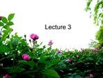 Lecture 3