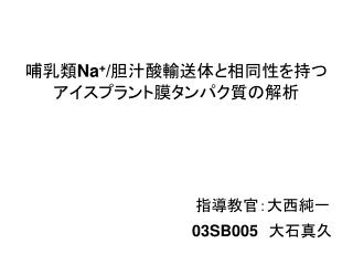 哺乳類 Na + / 胆汁酸輸送体と相同性を持つ アイスプラント膜タンパク質の解析