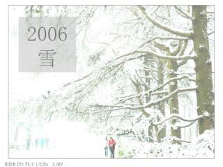 2006 雪
