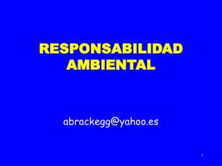 RESPONSABILIDAD AMBIENTAL