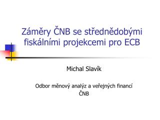 Záměry ČNB se střednědobými fiskálními projekcemi pro ECB