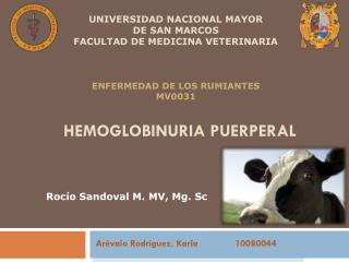 Hemoglobinuria PUERPERAL
