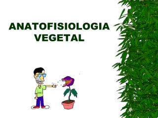 ANATOFISIOLOGIA VEGETAL
