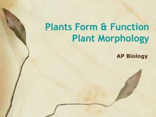 Plants Form &amp; Function Plant Morphology