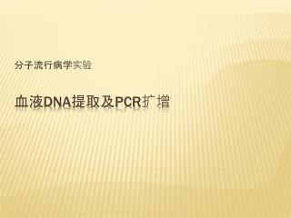 血液 DNA 提取及 PCR 扩增