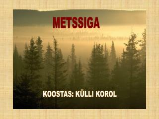 METSSIGA