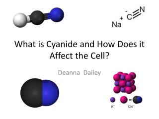 What is Cyanide and How Does it Affect the Cell?
