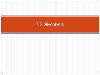 7.2 Glycolysis