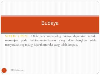 Budaya