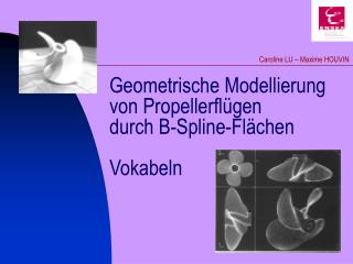 Geometrische Modellierung von Propellerflügen durch B-Spline-Flächen Vokabeln