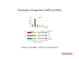 SH Naik et al. Nature 000 , 1-4 (2013) doi:10.1038/nature12013