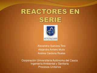 REACTORES EN SERIE