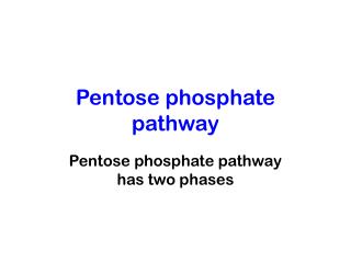 Pentose phosphate pathway