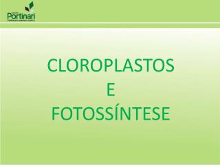 CLOROPLASTOS E FOTOSSÍNTESE