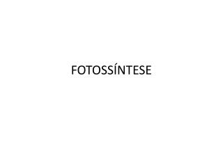 FOTOSSÍNTESE