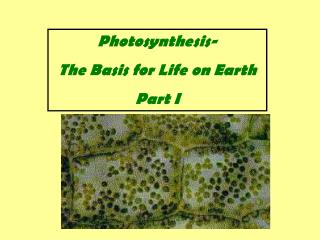 Photosynthesis- The Basis for Life on Earth Part I