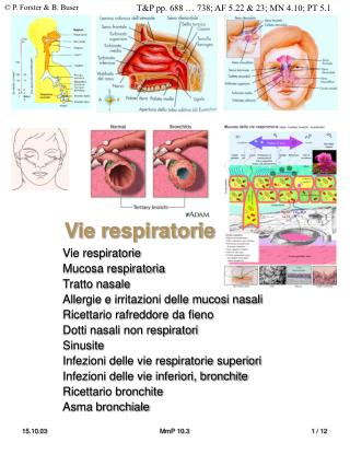 Vie respiratorie